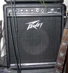 Peavey minx 110