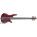 Voir la photo de la Ibanez SR905 Ibanez SR905