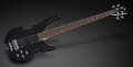 Video Warwick Rock Bass Vampire @Musikmesse