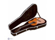 Gator Cases GC-DREAD Dreadnought Guitar Case