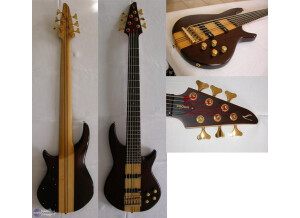 Vantage 960BA 6 cordes