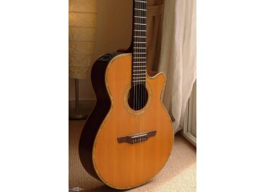 Takamine EN68C