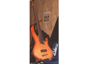 Leduc U-Bass 5 cordes fretless