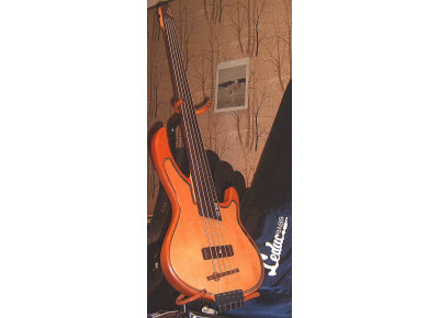 Leduc U-Bass 5 cordes fretless