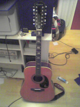 Epiphone FT-165 Bard Deluxe 12-String