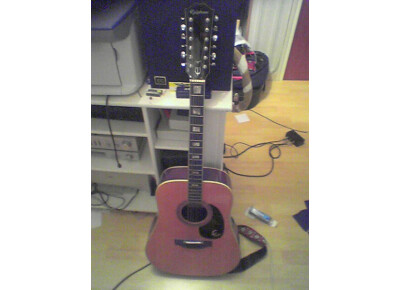 Epiphone FT-165 Bard Deluxe 12-String