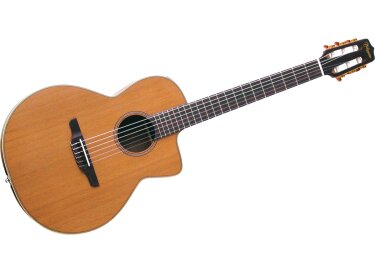 Takamine TAN650C