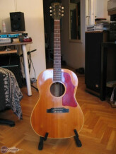 Gibson B25 electro
