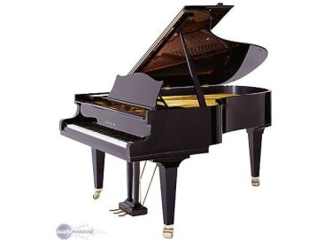 Bechstein B 208