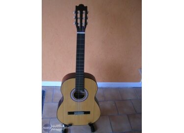 Hernandez Guitars cg-510