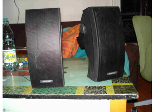 Bose 251 TM