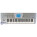 Korg Trinity Plus