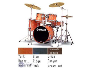 Yamaha Oak Custom NY2F4