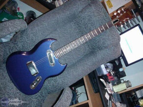 Gibson SG-100