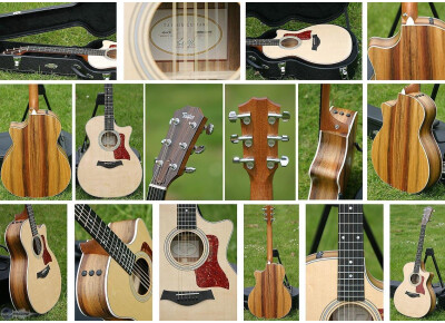 Taylor 414ce LTD 2005