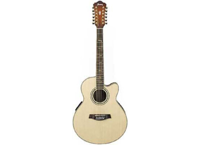 Ibanez AEL4012SE