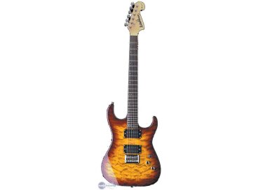 Washburn X12
