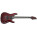 Voir la photo de la Schecter Hellraiser C-1 Schecter Hellraiser C-1