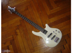 Washburn B105