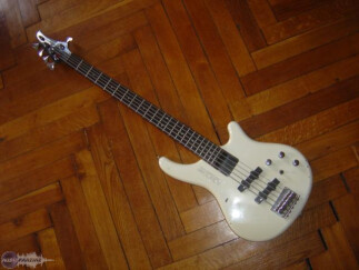 Washburn B105