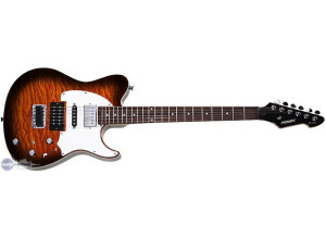 Peavey Generation EXP with ACM