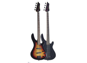 Johnson Guitars Long Horn