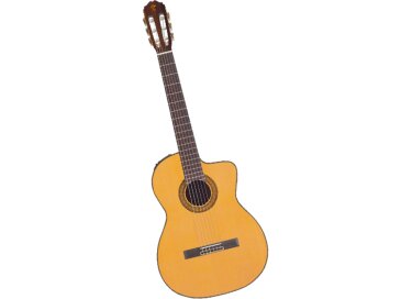 Takamine EC132SC