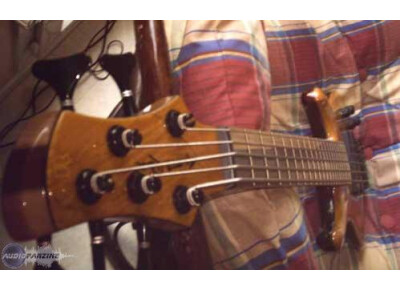 Roscoe Guitars LG 3005