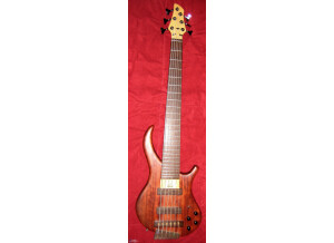 Noguera Expression 6