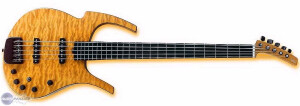Parker Guitars Fly Bass 5