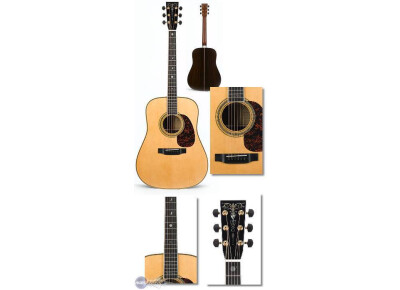 Martin & Co HD-40 Tom Petty