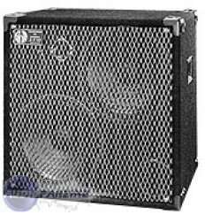 SWR Workingman's 2x12T