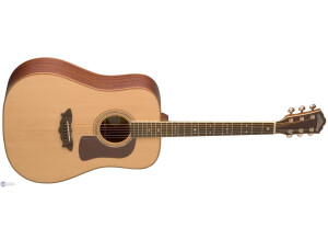 Washburn D52SW