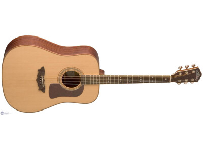 Washburn D52SW