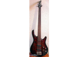 Washburn XS5