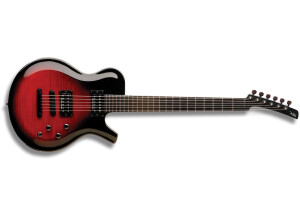 Parker Guitars Fly Mojo Flame Single Cut