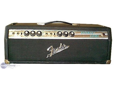 Fender Bassman Export