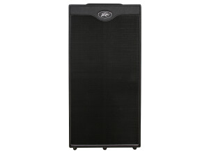 Peavey VB 810