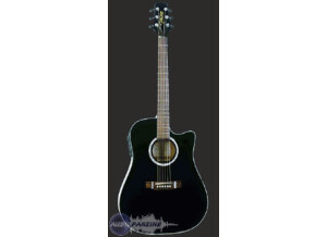Takamine EG531SSC