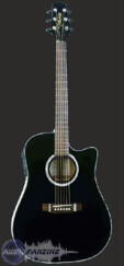 Takamine EG531SSC