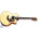 See the photo of the Taylor 355ce Taylor 355ce
