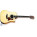 Taylor  410ce