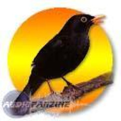 Myriad Virtual Singer