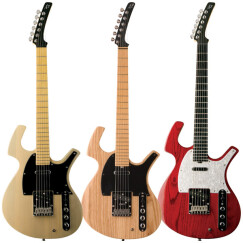 Parker Guitars P serie