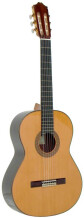 Alhambra Guitars 6 P