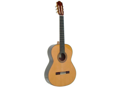 Alhambra Guitars 6 P