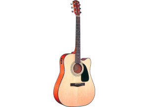Fender DG-10CE