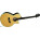 Voir la photo du Takamine EG540SSC Takamine EG540SSC