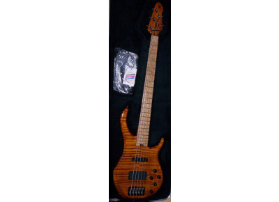 Peavey Millennium 5 Plus USA