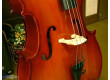 Shimro Violoncelle